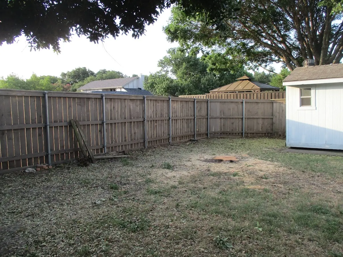 Cleared yard after professional tree removal in Nashville